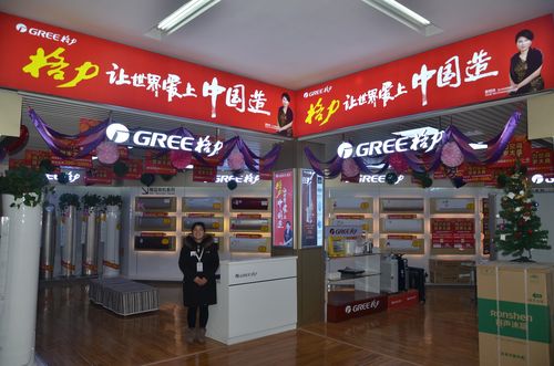 沉浸体验，焕新生活 —— 泽西电器商丘全业态体验式家用电器工厂店体验式拓展活动